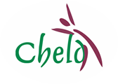 Centre for Health Ethics Law and Development (CHELD)
