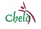 Centre for Health Ethics Law and Development (CHELD)